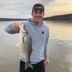 Meet your Posher, Bailey